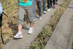 整形外科医が語る靴選び 後編 正しい靴の選び方 ベネッセ教育情報サイト