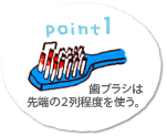 point１歯ブラシは先端の2列程度を使う。