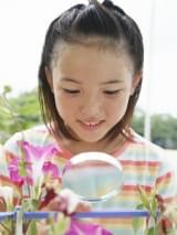 夏休みの自由研究と読書感想文、小学生の5割がてこずると回答