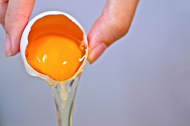 自由研究 黄身と白身の固まる温度を調べ 温泉卵をつくる 中学生 ベネッセ教育情報サイト