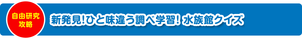 新発見クイズ 水族館編 小学生 中学生をお持ちの保護者様向け夏休みの宿題解決策特集