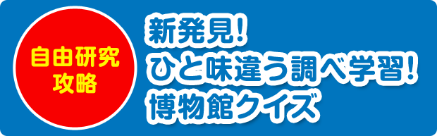 新発見クイズ！　博物館