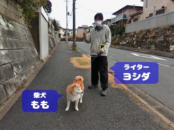 小学校の通学路へ、犬と。