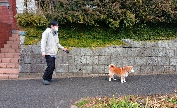 小学校の通学路へ、犬と。