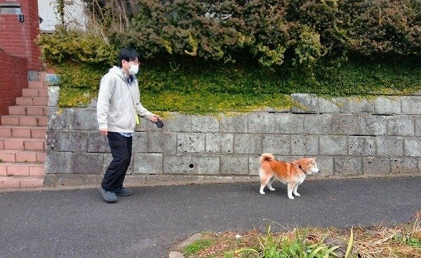 小学校の通学路へ、犬と。