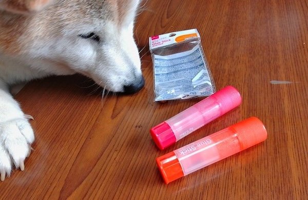 DAISO「スティックのり 香り付」