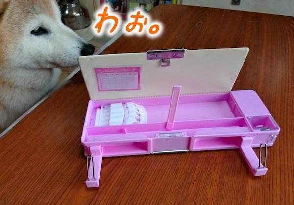 DAISO「多機能スクール筆箱マグネットタイプ」