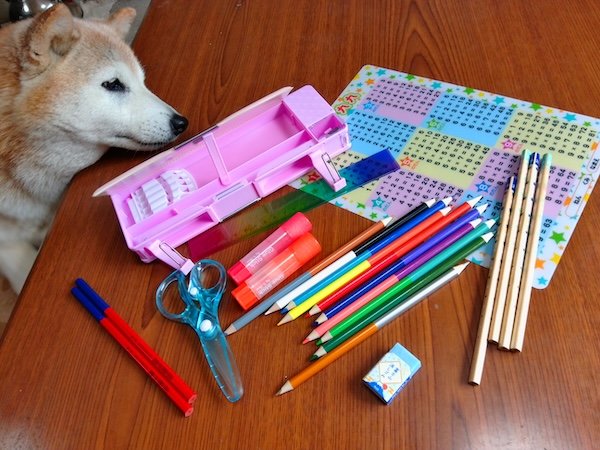 購入した文房具