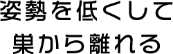 姿勢を低くして巣から離れる