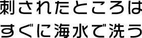 刺されたところはすぐに海水で洗う