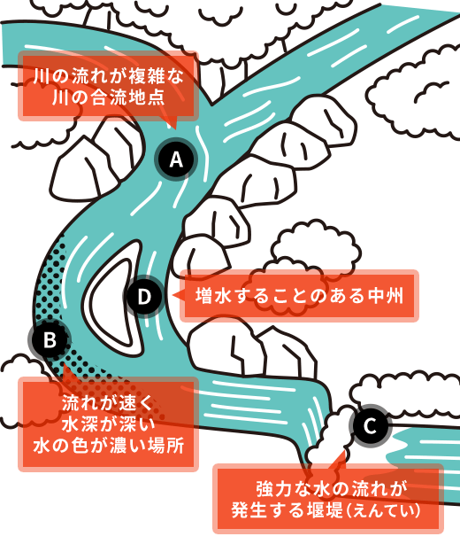 A：川の流れが複雑な川の合流地点 B：流れが速く水深が深い水の色が濃い場所 C：強力な水の流れが発生する堰堤（えんてい） D：増水することのある中州