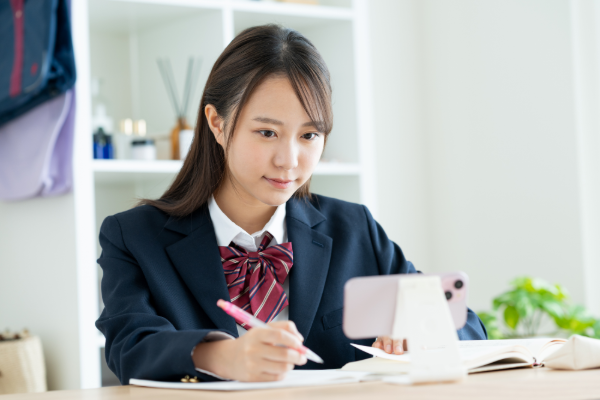 勉強手段はハイブリッドに使い分けがち