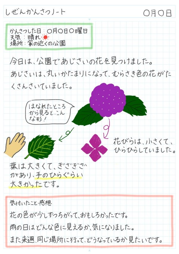 身近な植物・動物の大調さノート