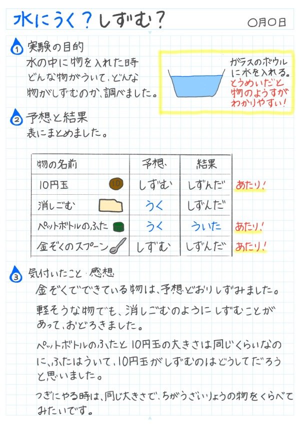 水に入れたらどうなる？身近な物で実験！のノート
