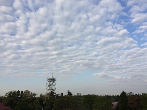   ＜高積雲（こうせきうん）＞