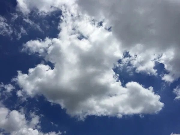 ＜水雲（みずぐも）＞