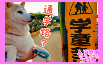 通学路